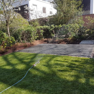 photo-2023-05-12-07-16-44